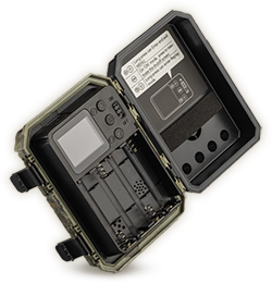 Wachman Mini Trail Kaamera tagavaade, mis näitab ekraani ja juhtnuppe