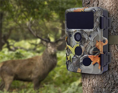 Wachman Aldo Trail Camera Side View